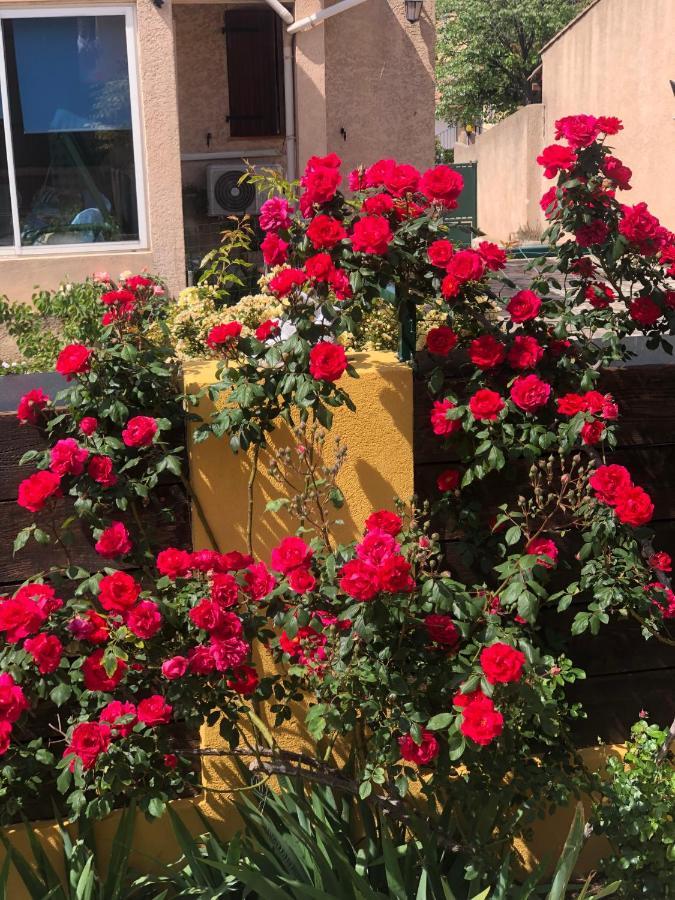Bed and Breakfast Chez Guy Marseilles Exterior foto